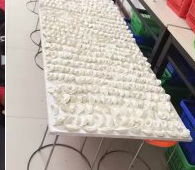 冬至來臨，公司員工一起來包＂扁食＂
